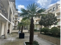 T2 à la location